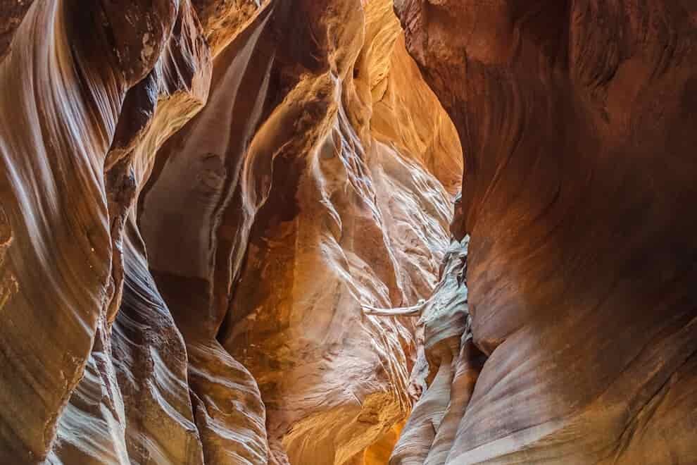 a driftwood log suspended and wedged in a slot canyon shows how high the water had been to lodge the log there.