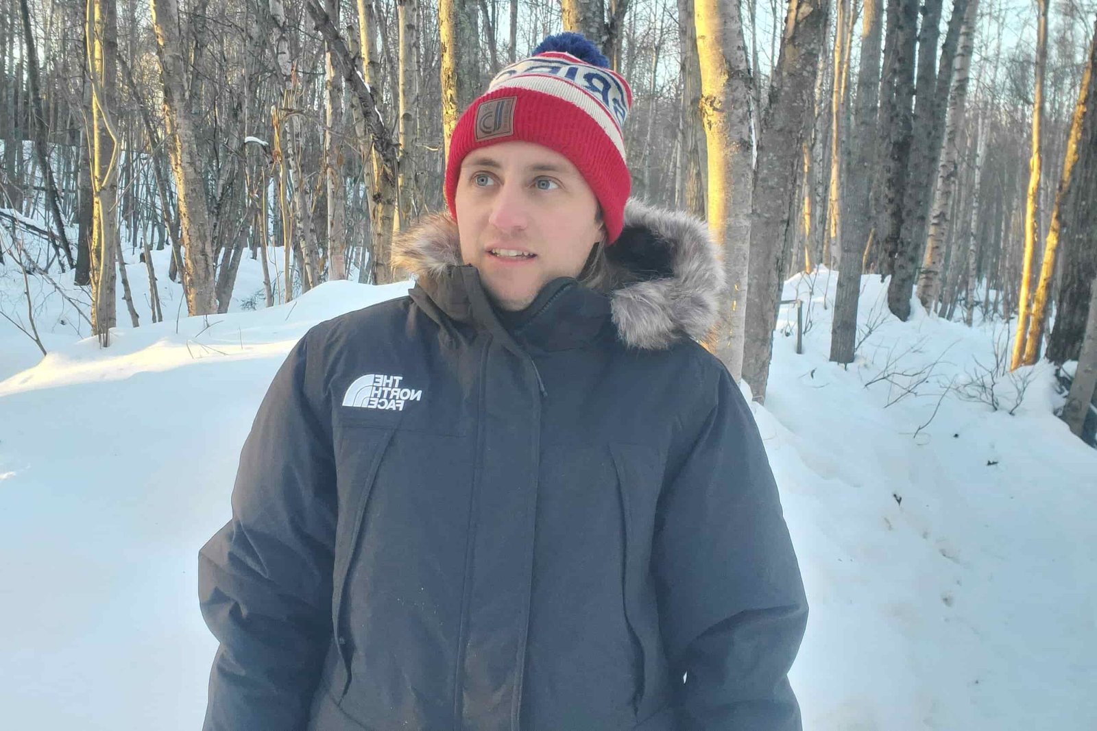 A man stands in a birch forest
