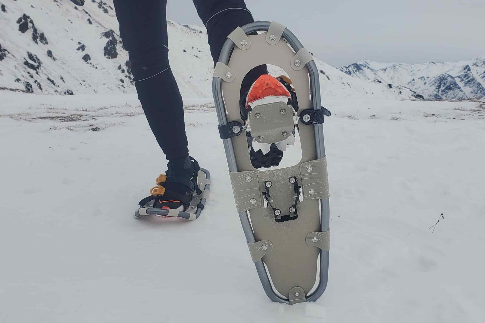A closeup of the teeth on a pair of snowshoes.