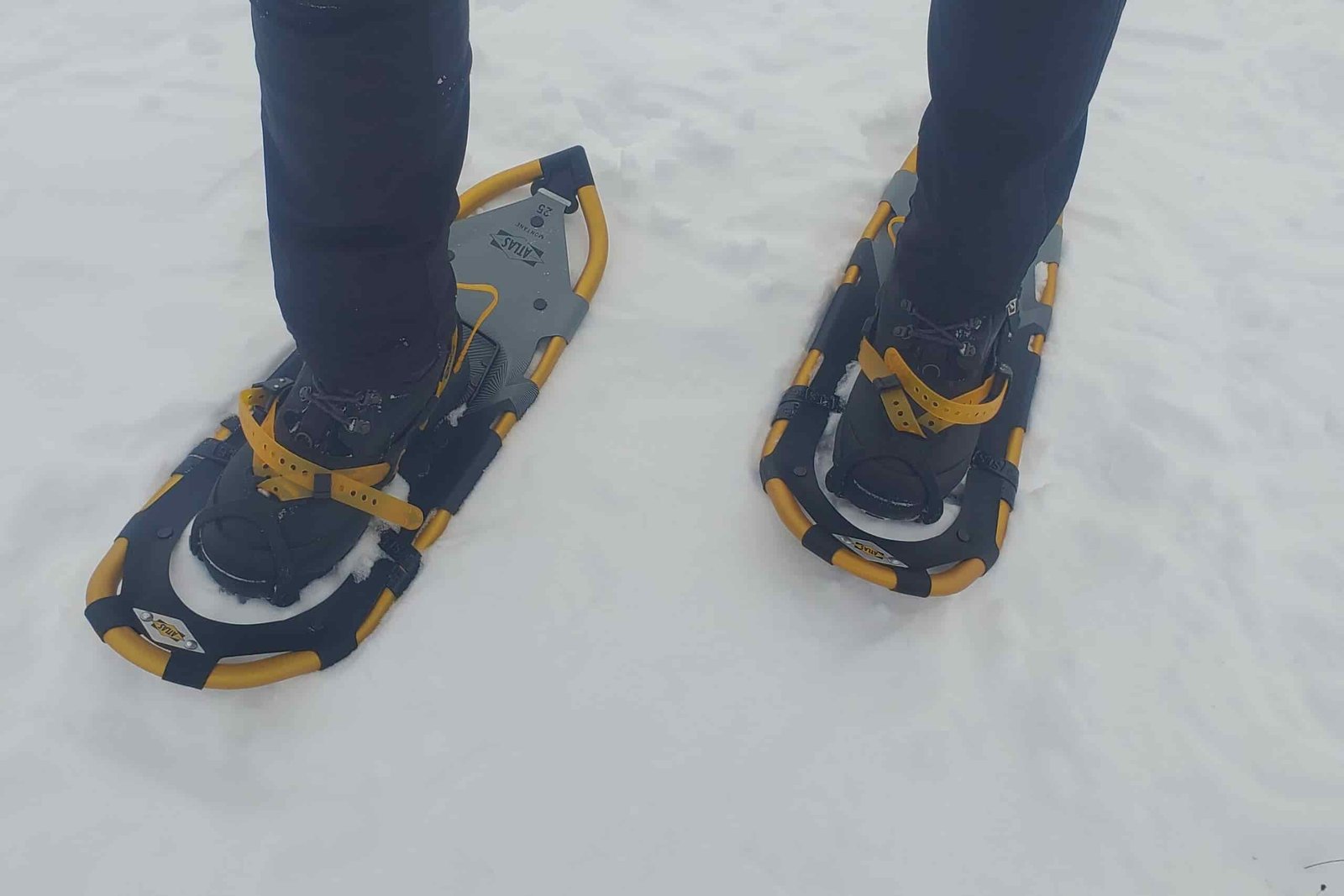 A top down shot of snowshoes.
