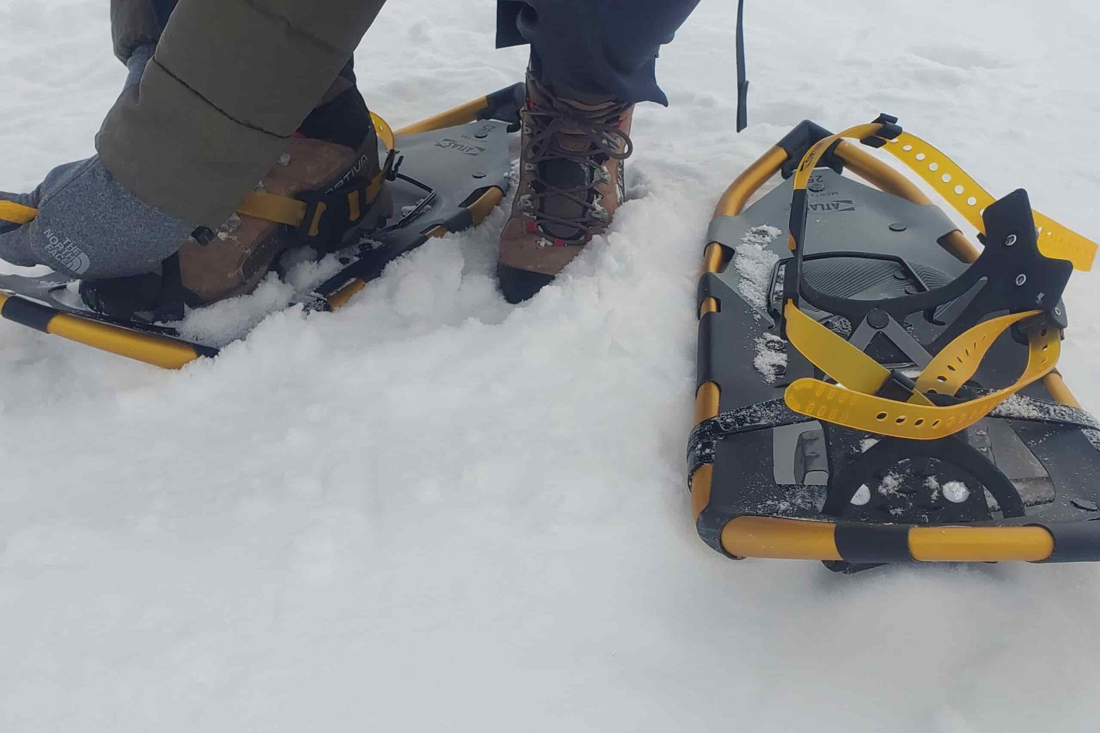 A closeup of the binding of snowshoes.