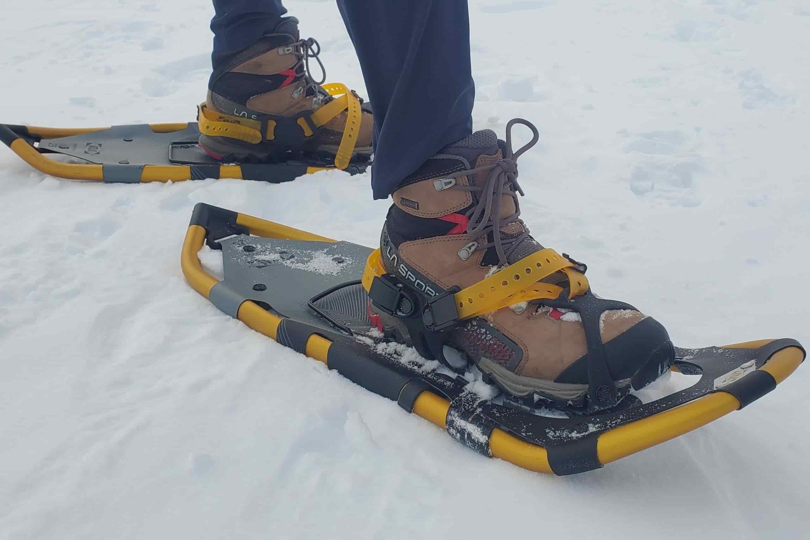 A closeup of the bindings of snowshoes.