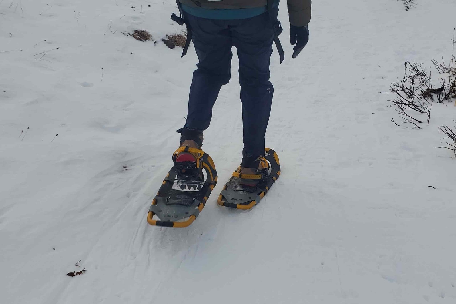 A shot from the back of a person walking while wearing snowshoes.