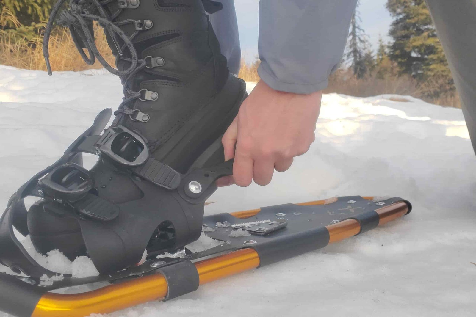 A man secures the heel strap on snowshoes.