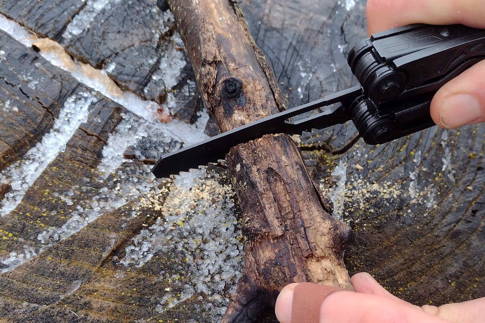 The Gerber Dual Force cutting through a small branch on top of an ice-fringed stump.
