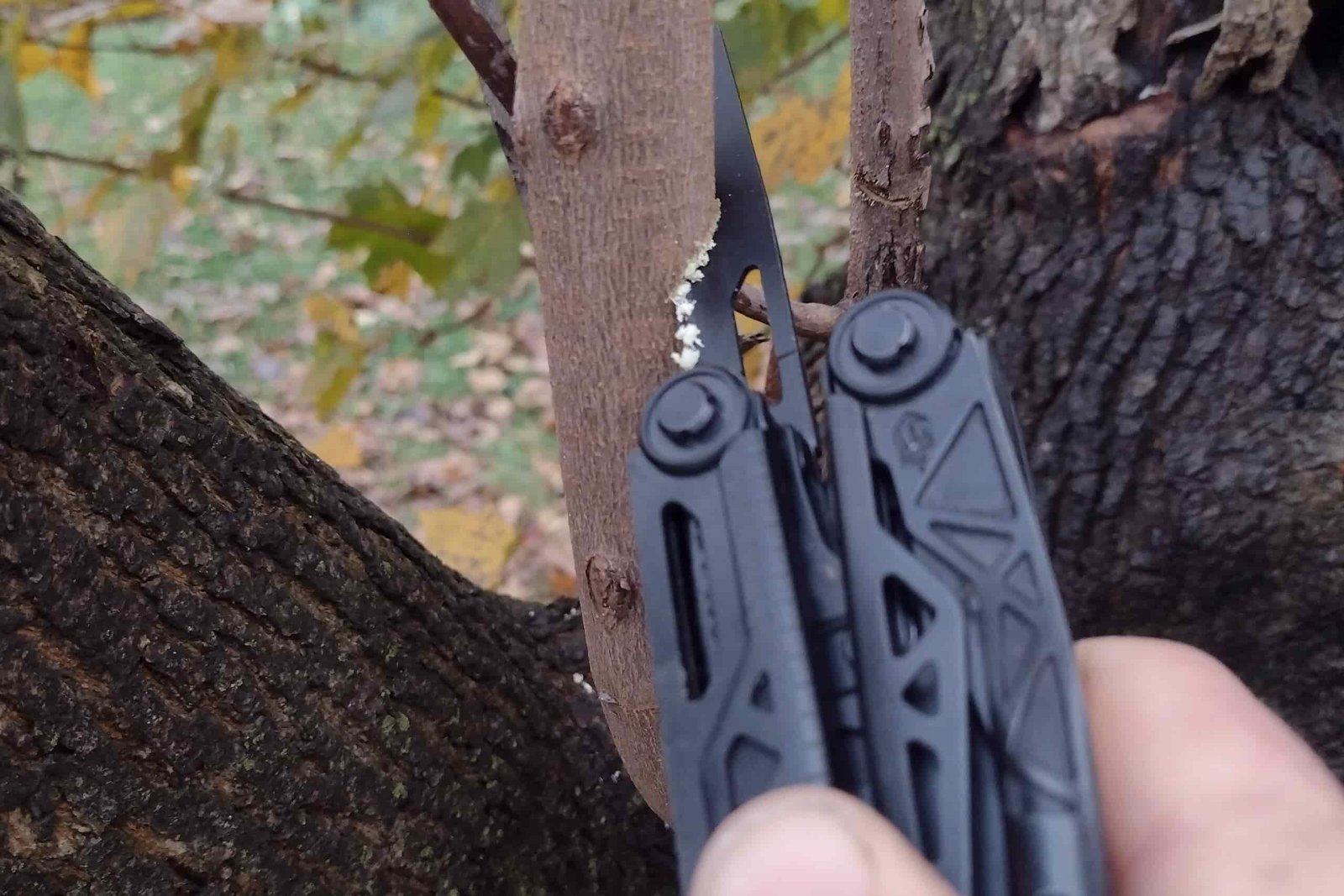 The Gerber Dual-Force with its saw deployed, cutting through a small tree branch.
