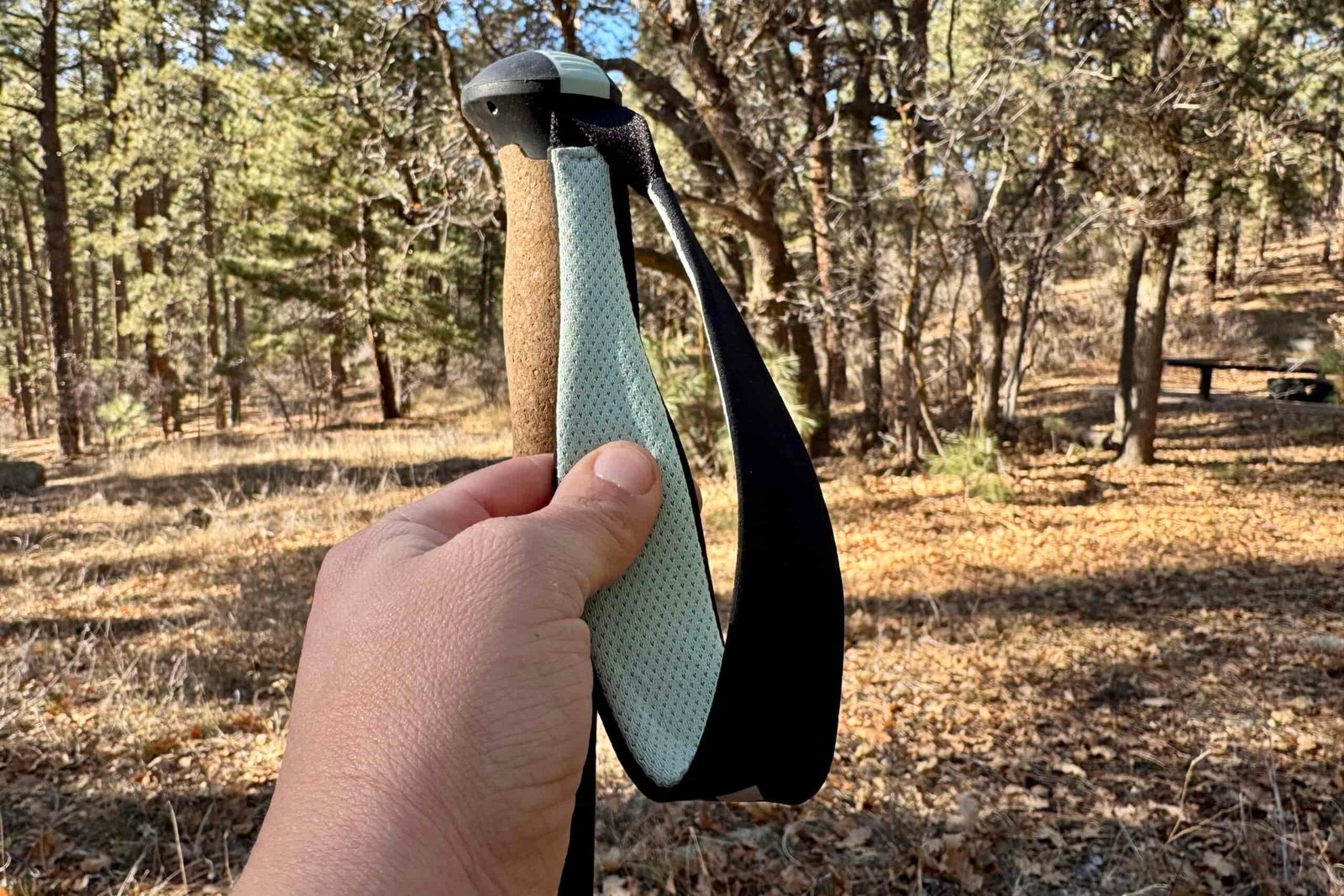 A close up of a hand holding the padded wrist strap of a trekking pole with a forest in the background.