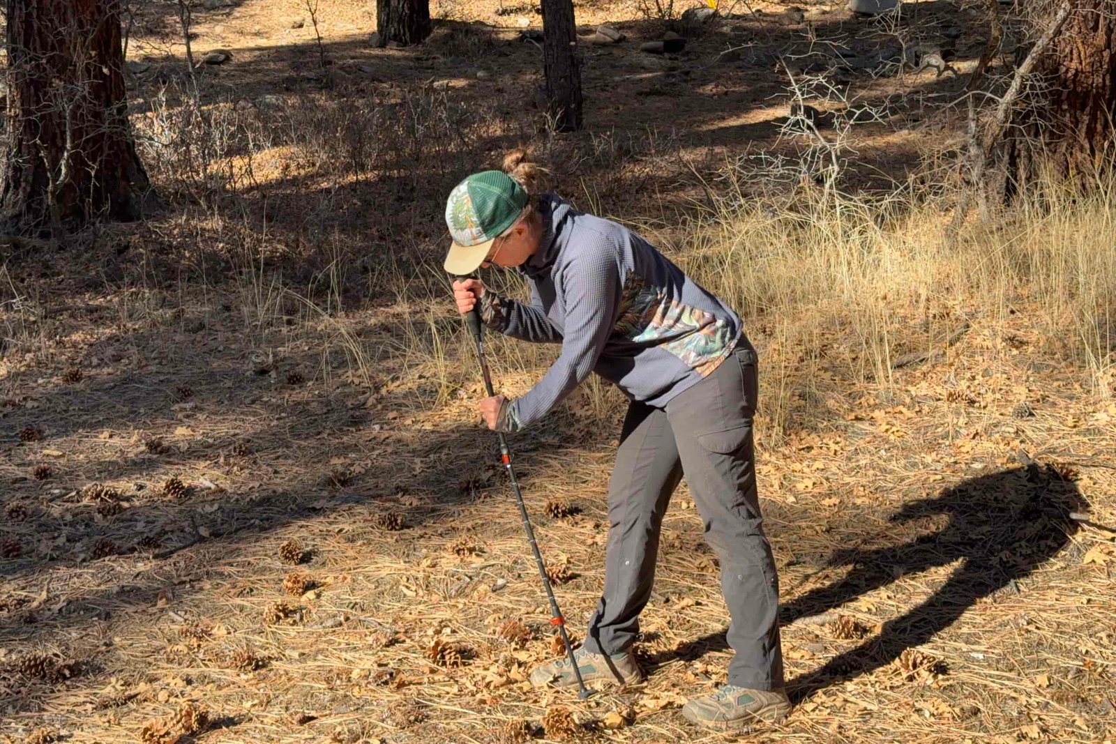 A person is leaning on a trekking pole in the forest.