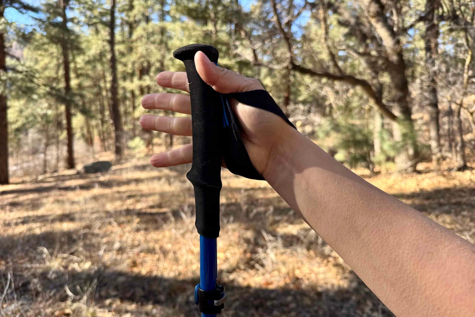 A close up of a hand holding the foam grip of the Black Diamond Distance Carbon FLZ pole with a forest in the background.