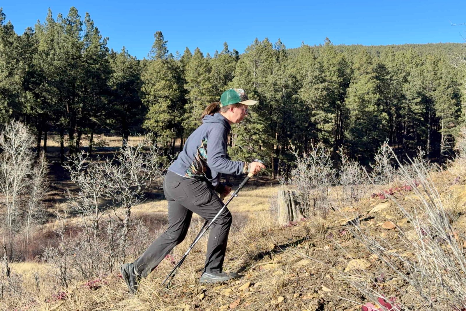 A person is using a pair of trekking poles to hike up a hill in the forest.