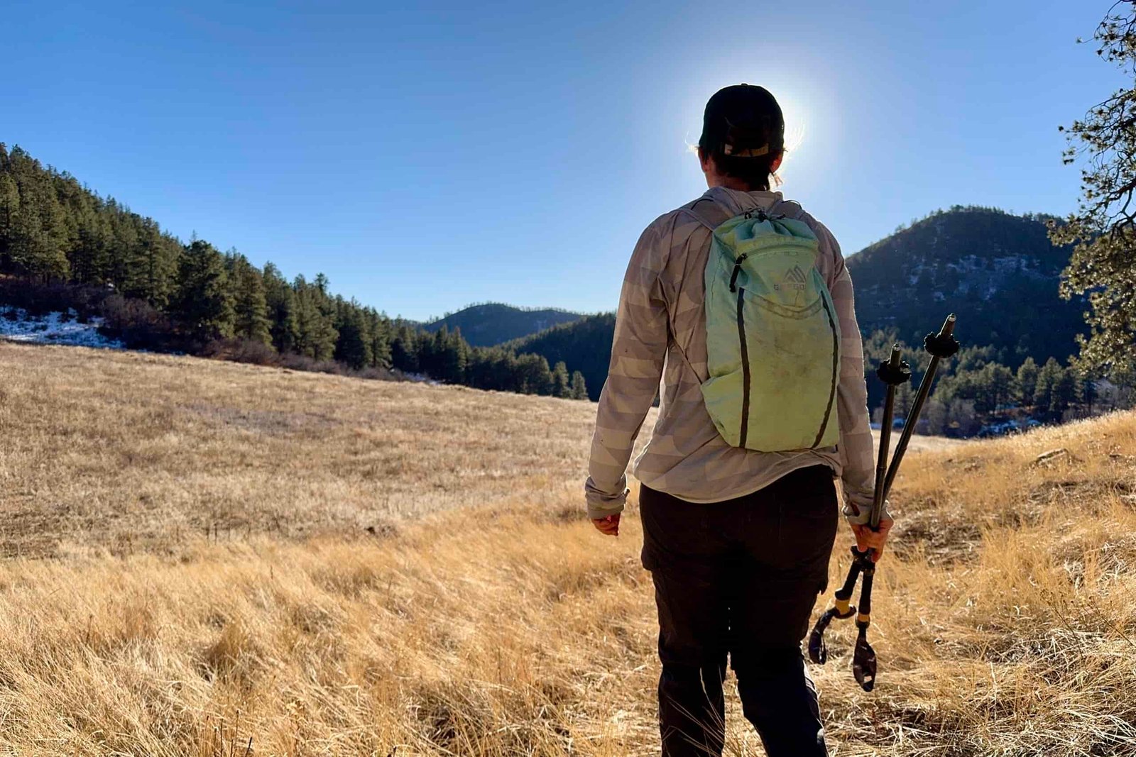 A person wearing a small pack is walking towards a golden meadow in the middle of a forest. The are holding a pair of trekking poles.