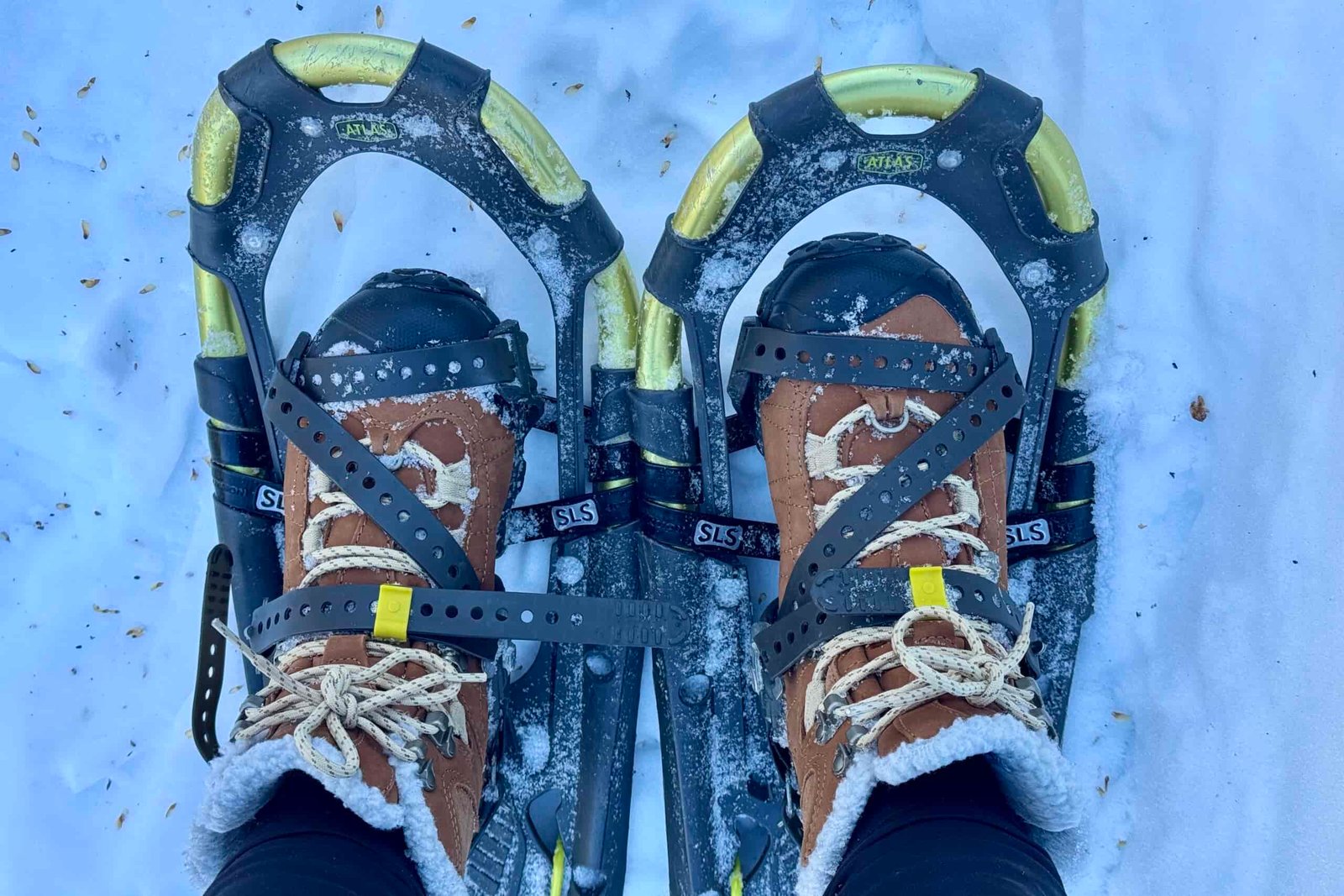 An aerial view of the Bridger boots being used with some snowshoes.