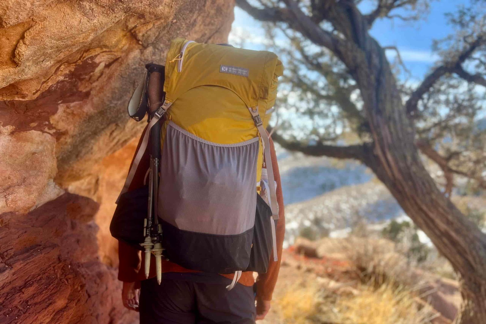 A hiker wearing the fully packed Gorilla 50 backpack facing away from the camera with a tree and desert scene in the background.