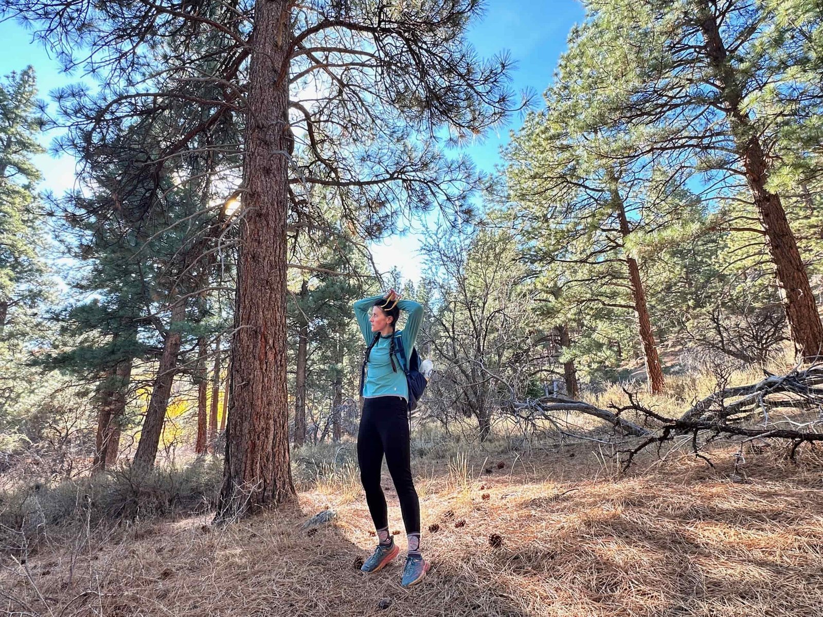 Hiker looking out into distance in pine forest