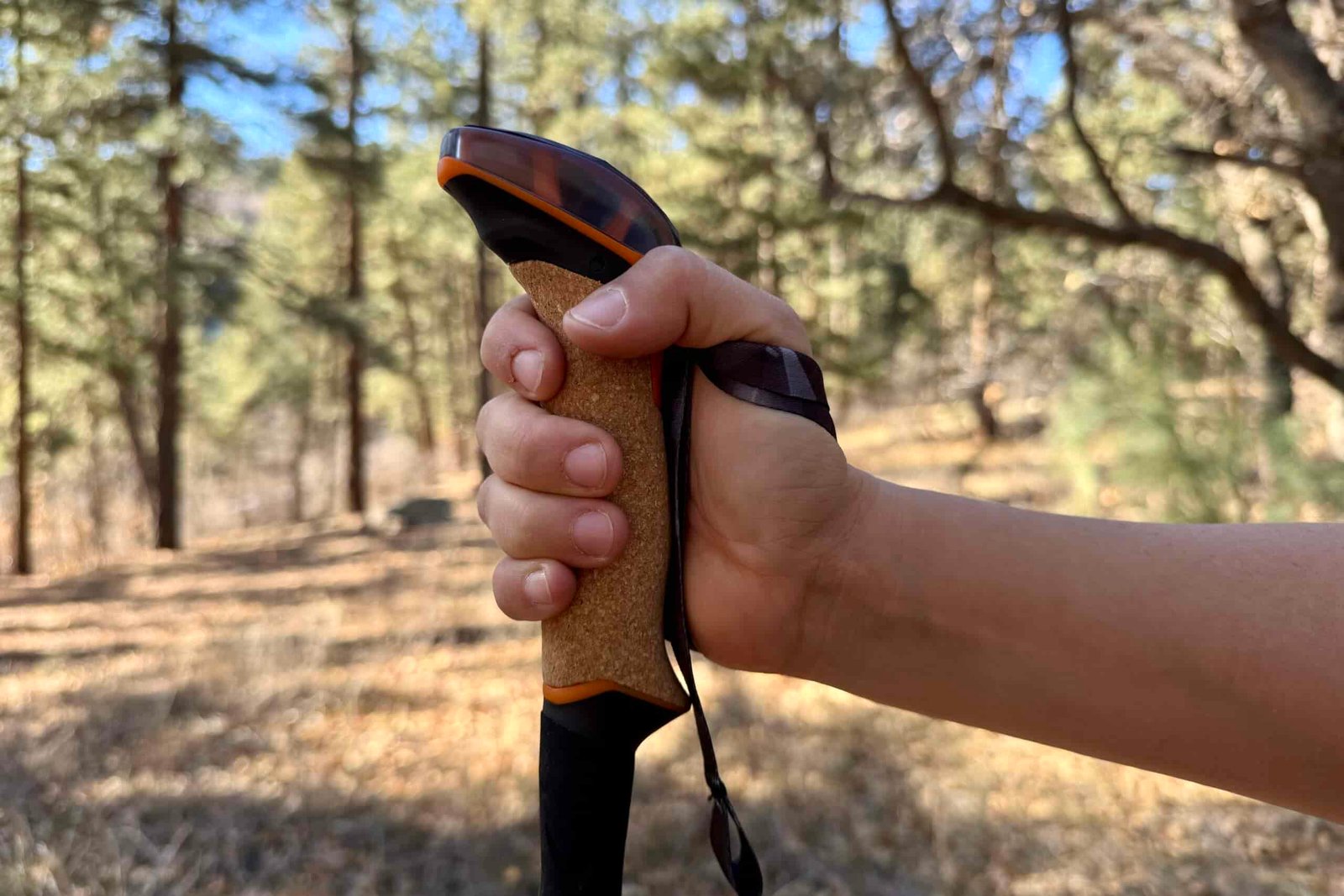 A close up of a hand holding the cork grip of the Leki Makalu Cork Lite pole with a forest in the background.