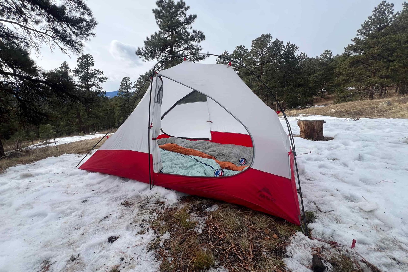 MSR Access 2 tent set up on a snowy field with its inner tent exposed, showcasing the sleeping area with a pair of sleeping bags inside. Surrounding the tent are pine trees under an overcast sky.