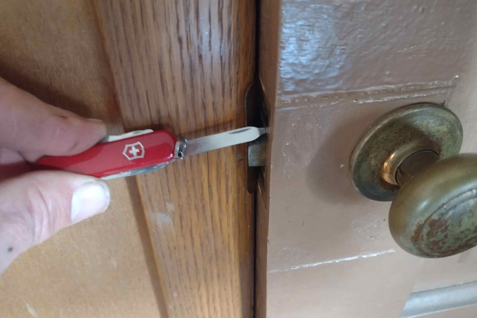 The Victorinox Rambler tightening a screw on a door strike plate.