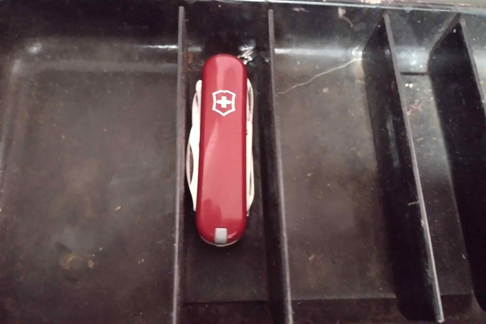 The Victorinox Rambler resting in a tray of a fishing tackle box.