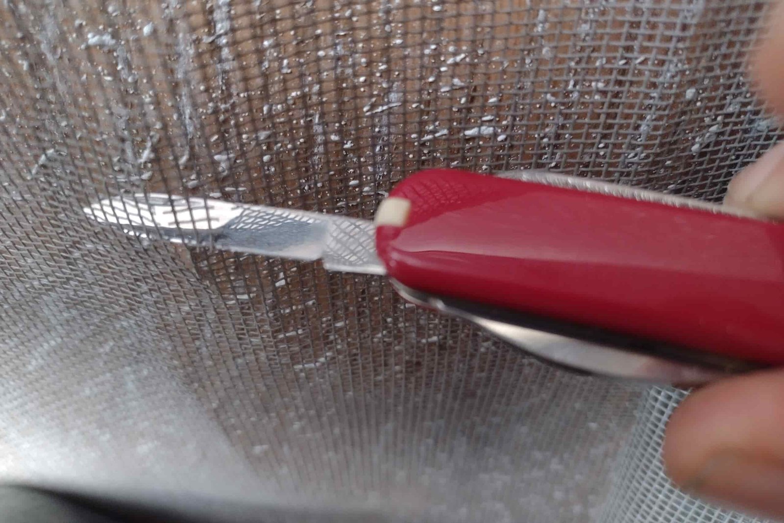 The Victorinox Rambler cutting through some window screen.