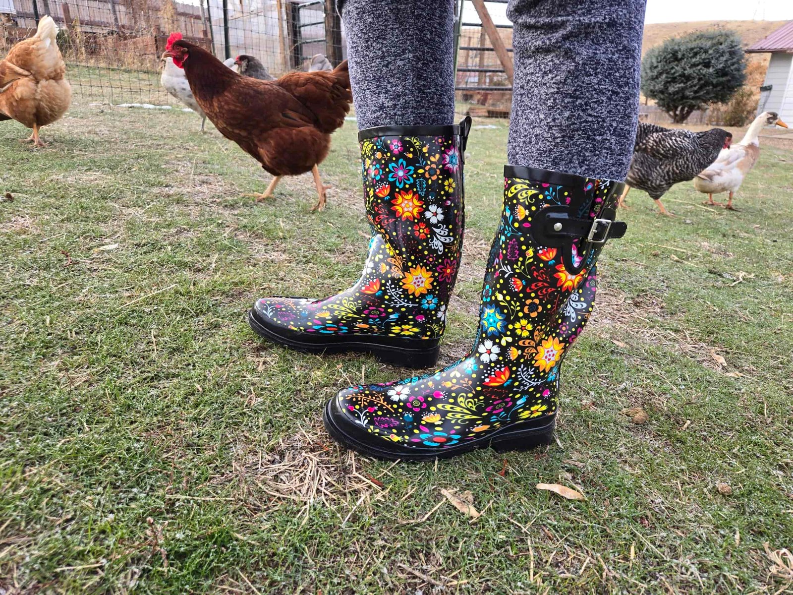 Someone in colorful rainboots stands amongst chickens.