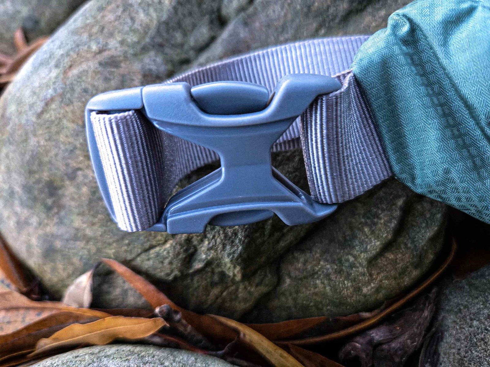 buckle on the bumster
