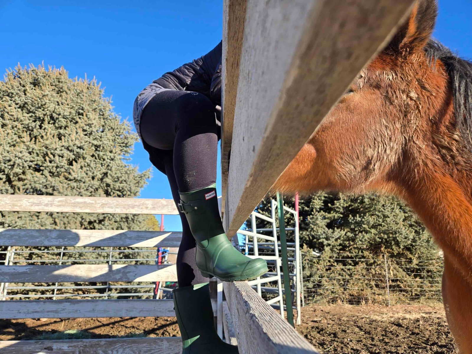 someone wearing the Hunter Boots Short while standing on a fence to pet the horse