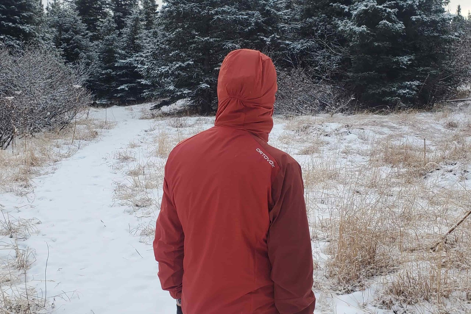 A closeup of the back of a red hooded windbreaker.