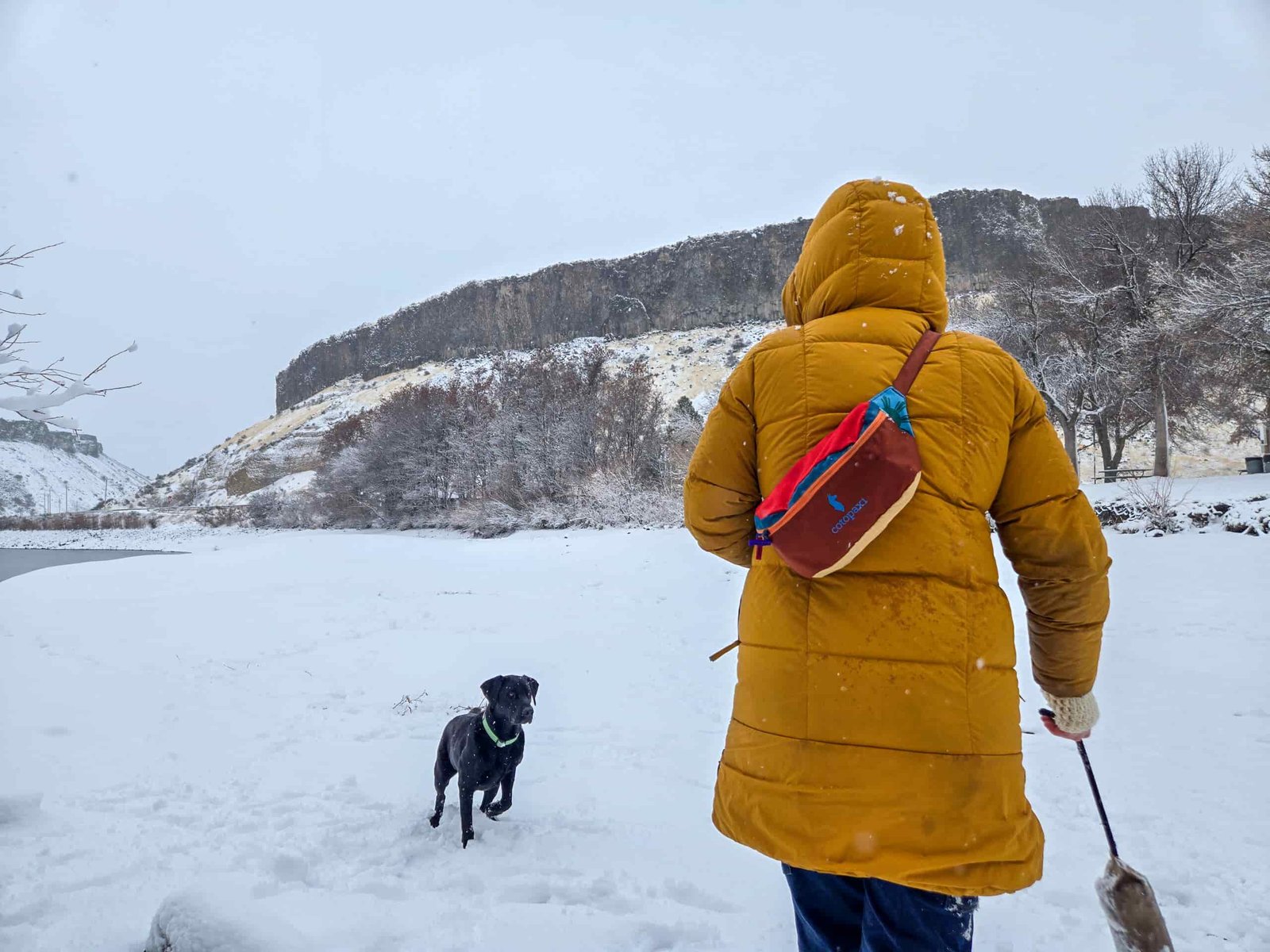 a woman about to throw a dog toy to her black lab in a snowy park with a fanny pack slung over her shoulder