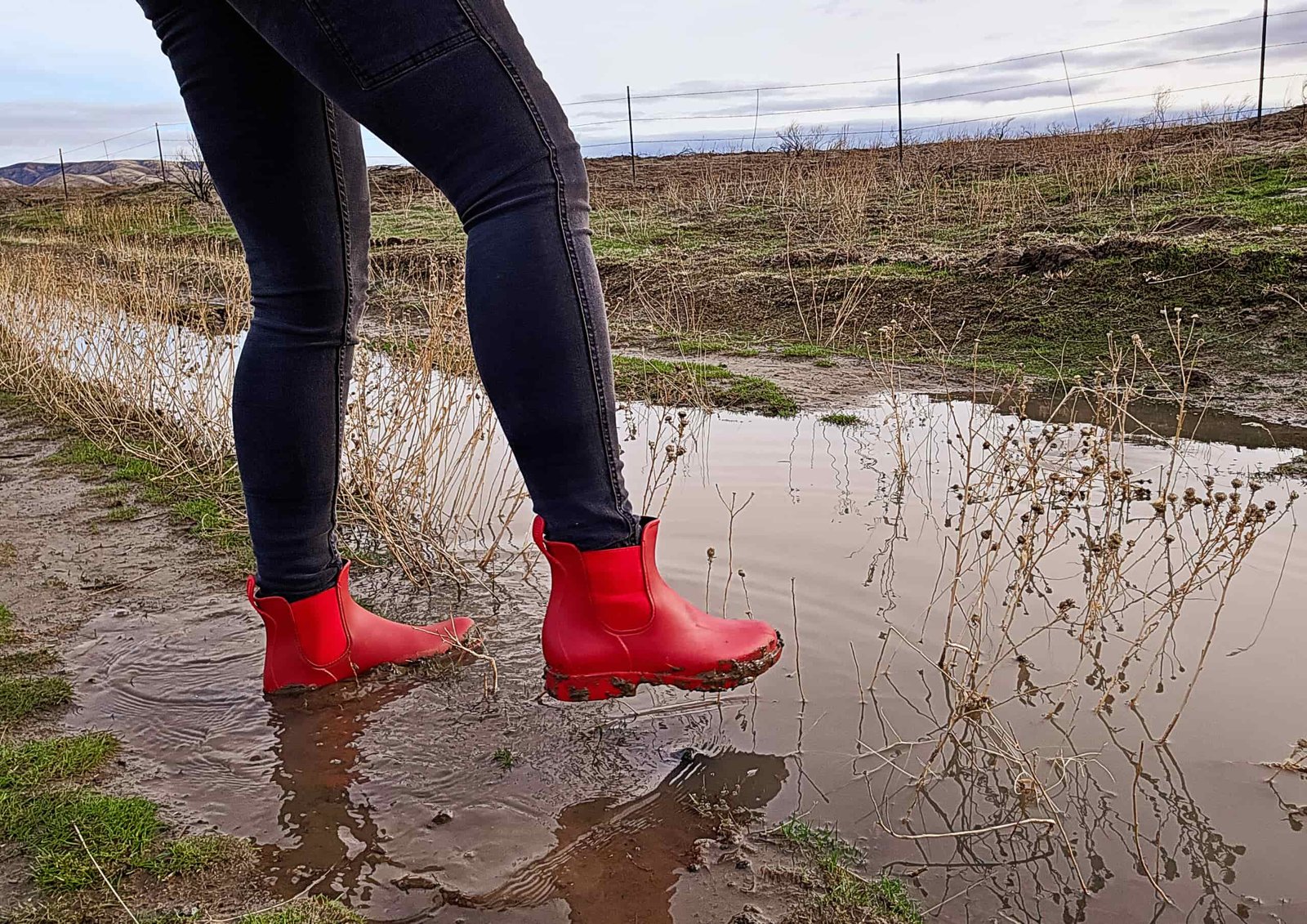 Asgard Chelsea - mud/splash