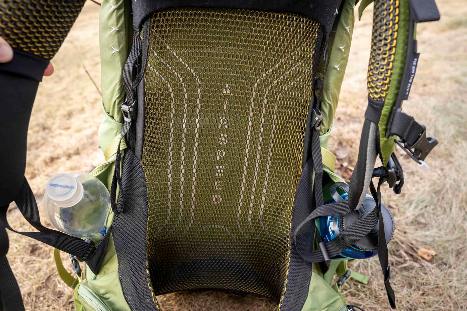 mesh back panel of backpack