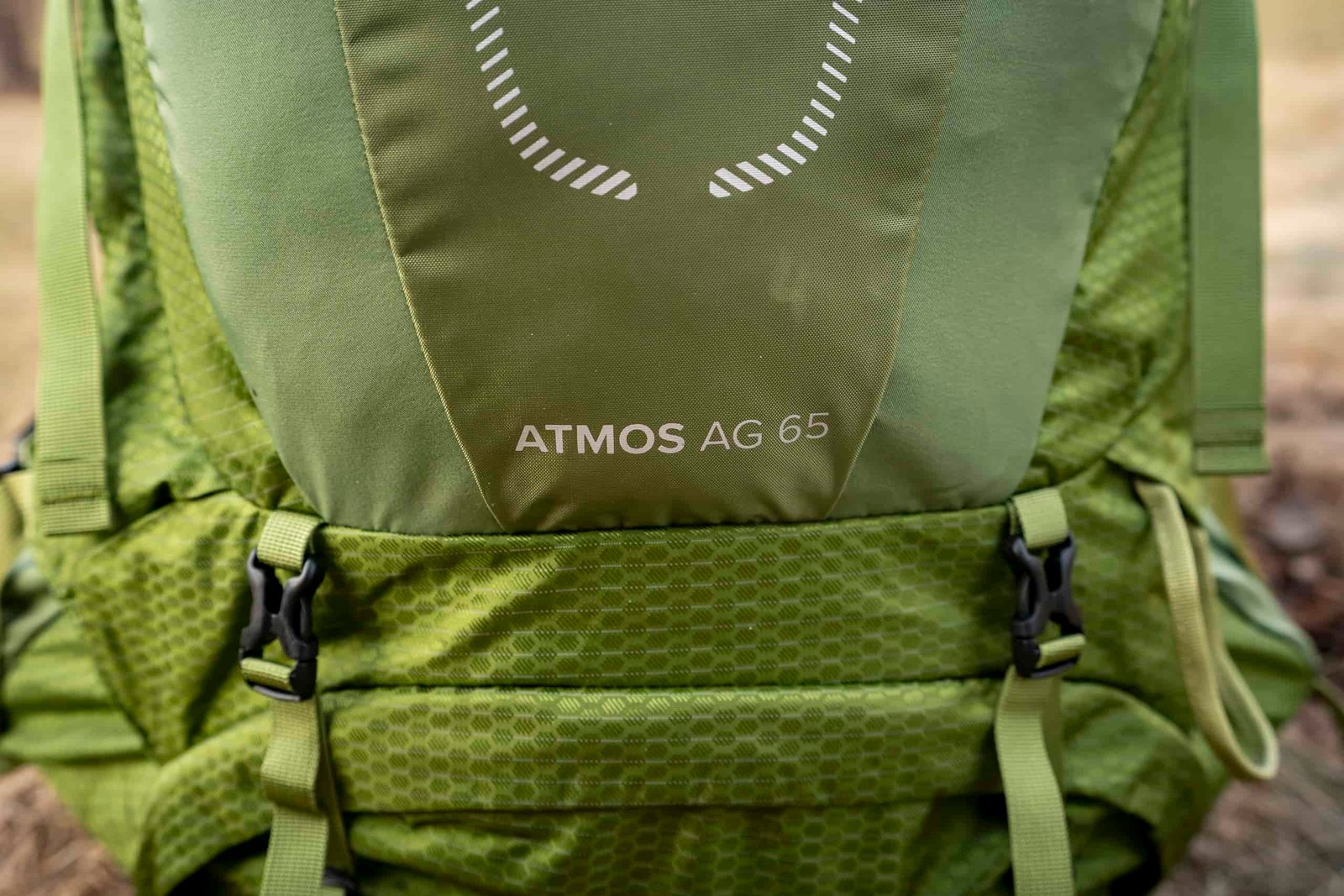 front view of green backpack