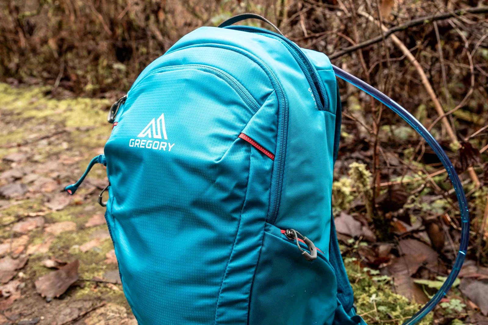 Details of Gregory Swift 16 H2O - a view of the whole pack standing upright in nature