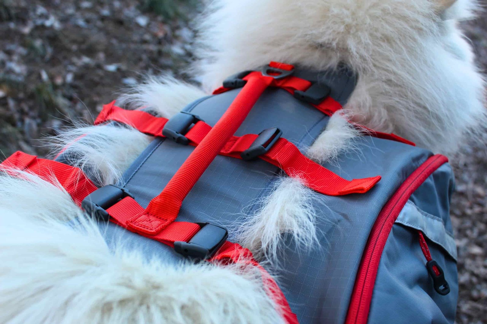 The top back of the Mountainsmith K9 Dog Backpack showing the six adjustment points