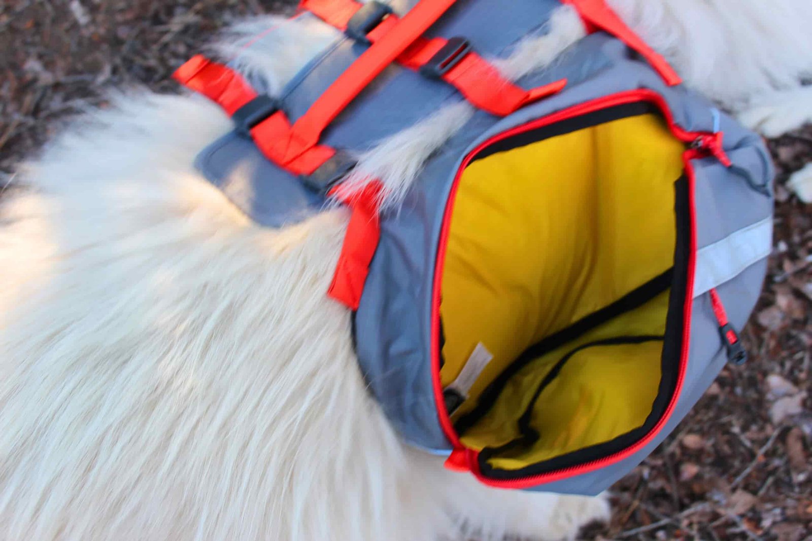 The inside of an open siaddlebag on the Mountainsmith K9 Dog Backpack