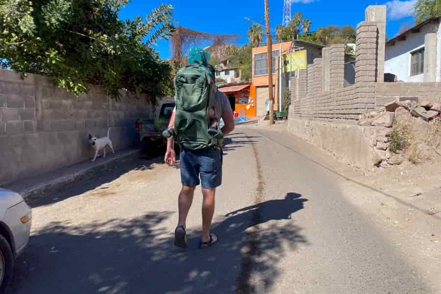 A person walking on a sunny street wearing the Osprey Poco Premium child carrier, with a green backpack design, while a child sits comfortably inside.