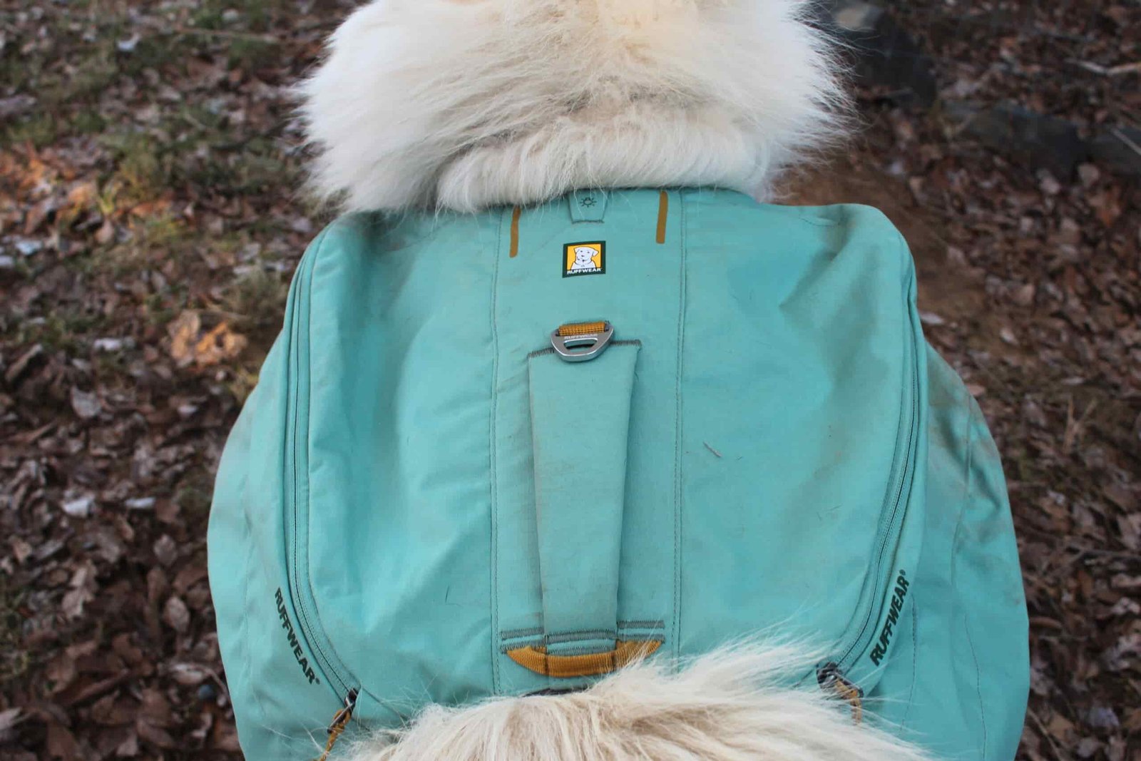 Top view of the Ruffwear Front Range Day Pack showing the handle and d-ring
