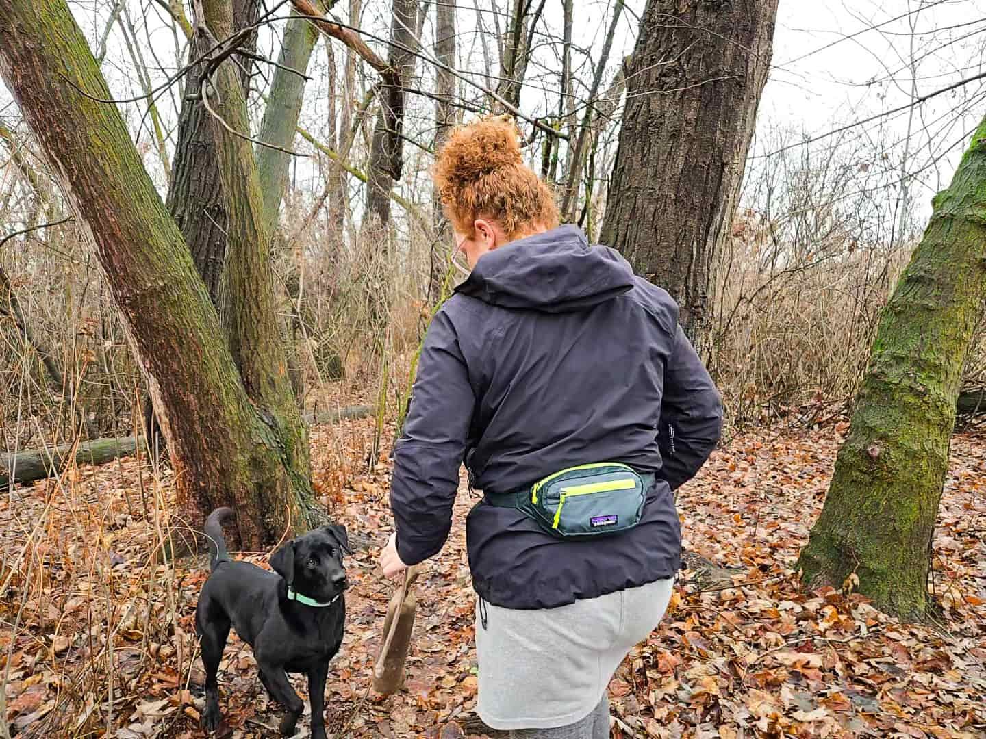 a woman holding a dog toy with her black lab in a forest 