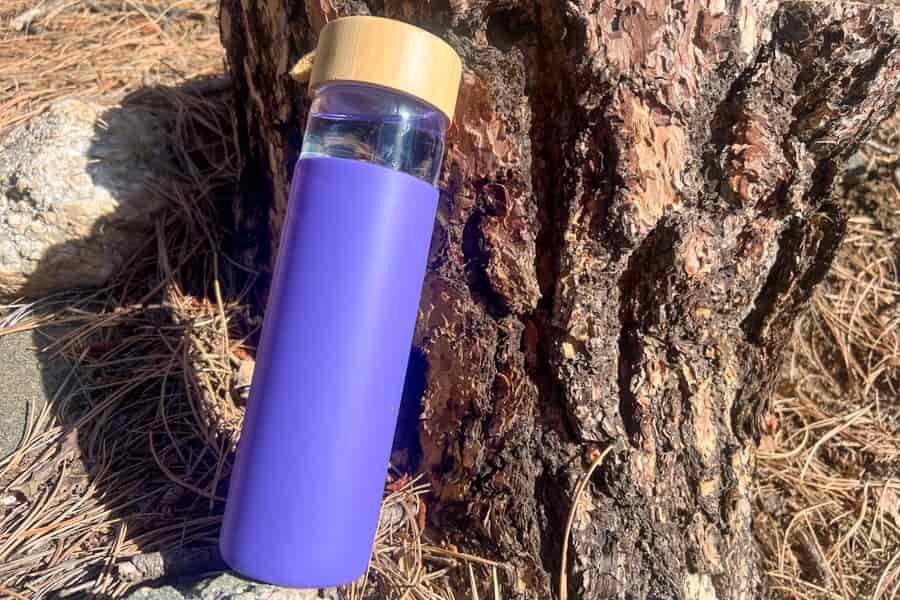 Purple glass water bottle leaning against a tree trunk with pine needles in the background.