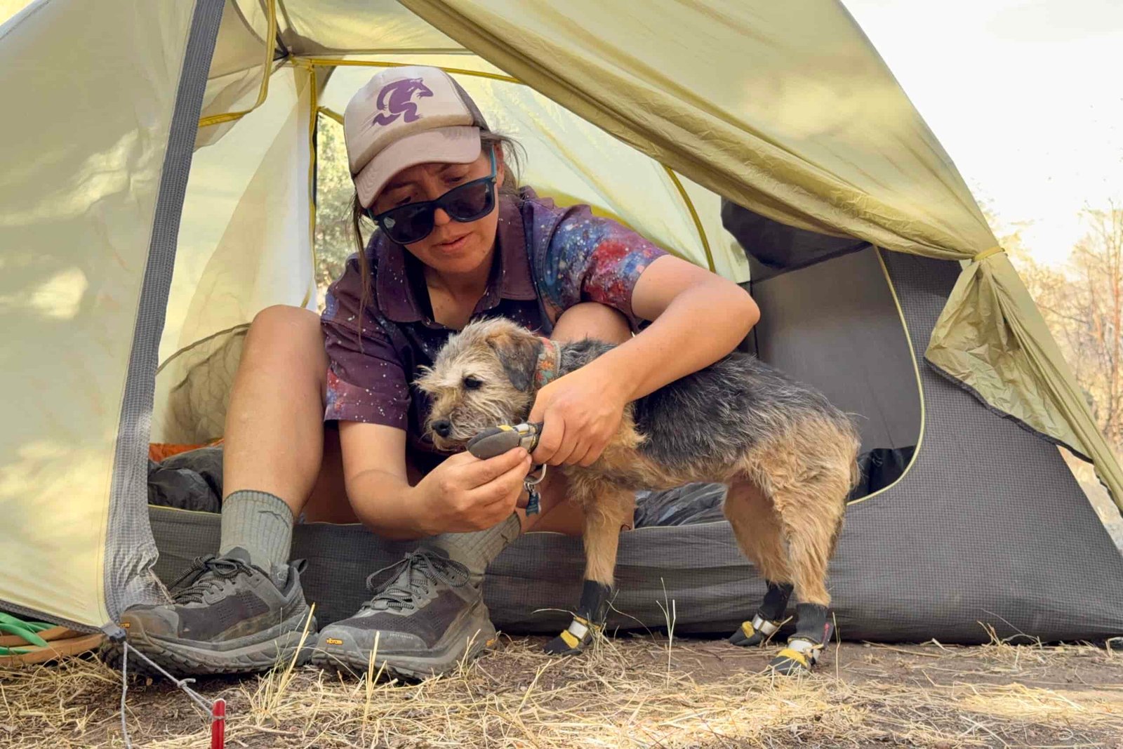 A person is sitting with a small dog in the vestibule of a tent. The person is taking the Muttluks boots off of the dog.