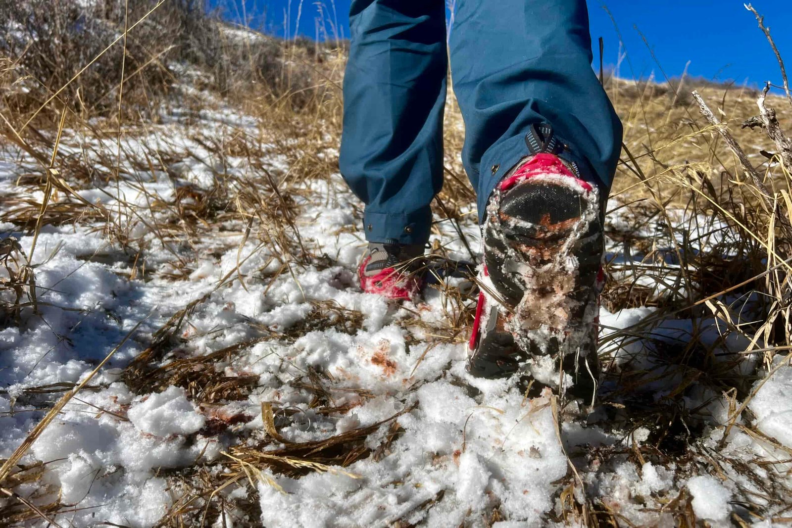 A view of a hiker's feet walking away on snowy ground while wearing a pair of ice cleats.