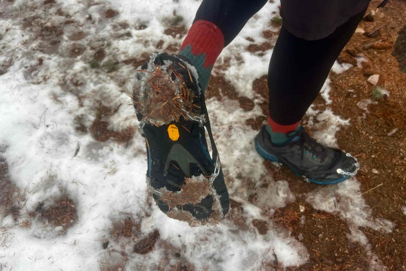 a hiker shoes the bottom of his sneakers wearing an ice cleat covered in snow and pine needles.