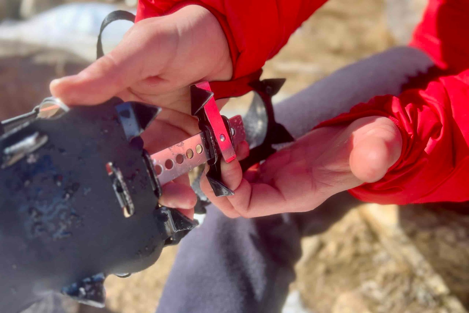 A close up of a hiker's hands showing the adjustment mechanism on a pair of trail crampons.