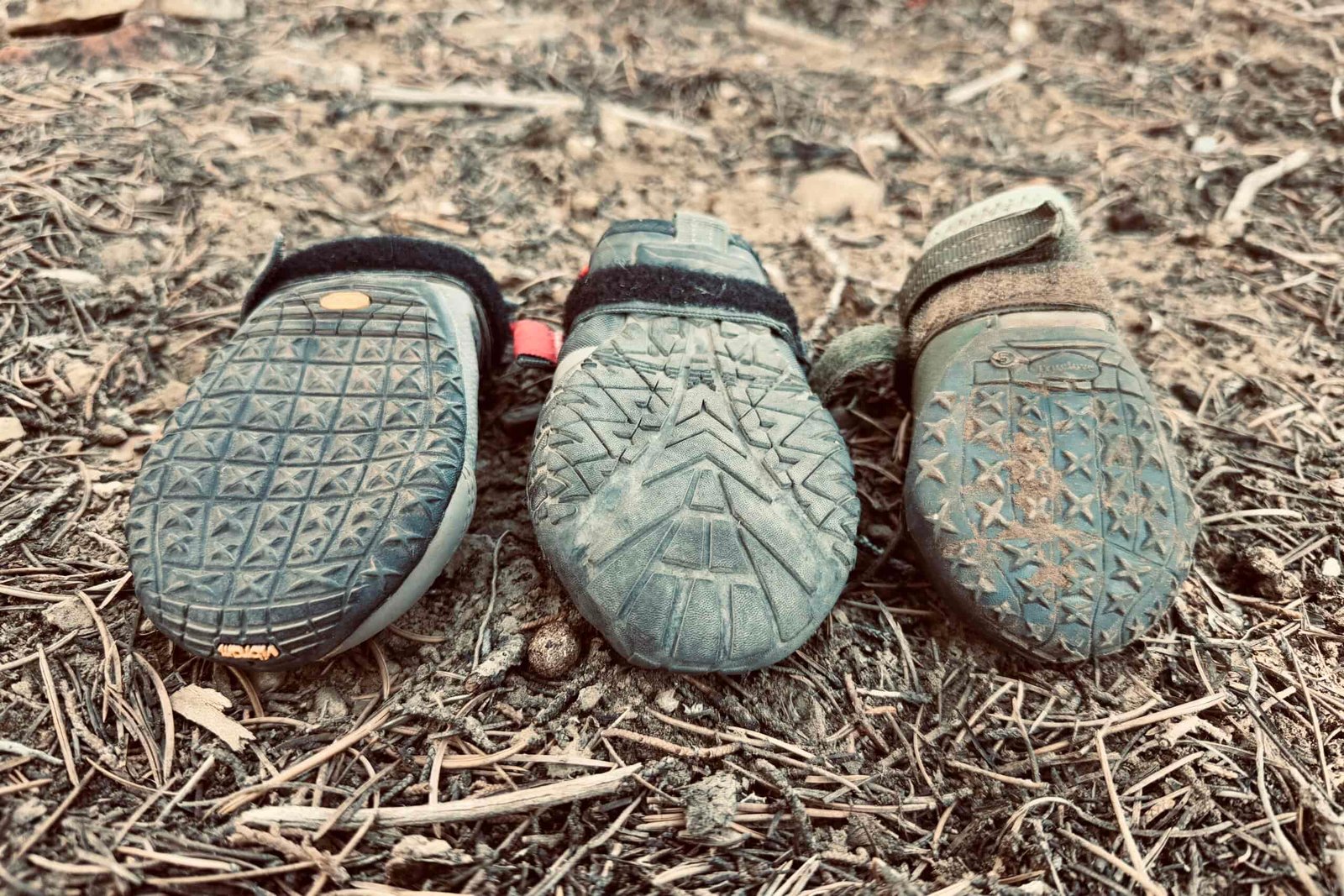Three rubber soled boots are lined up side-by-side. on some pine needles.