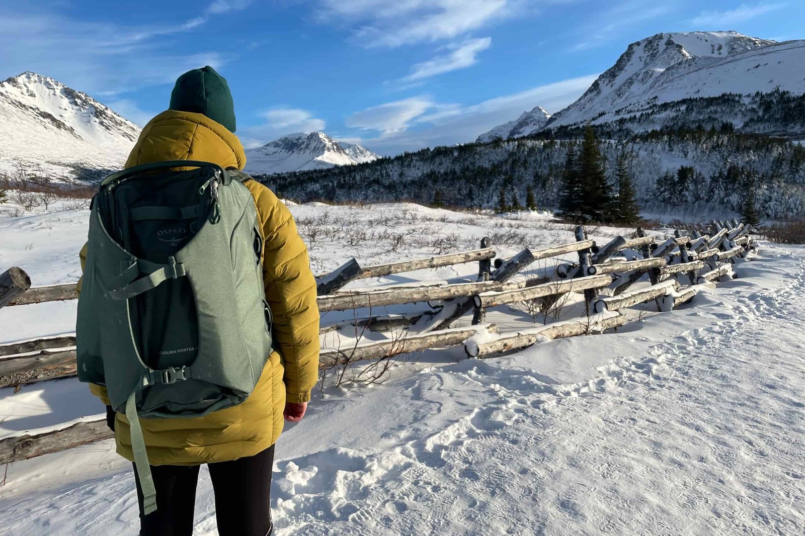 A woman faces away from the camera in front of a snowy mountain landscape wearing a green backpack.