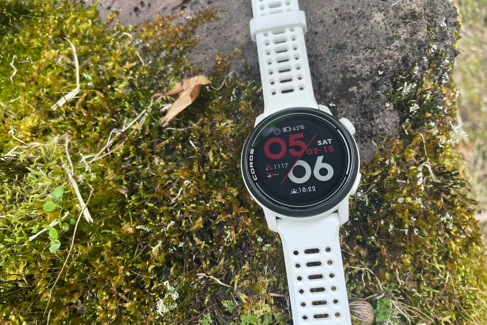 A closeup of a watch face on a mossy boulder.
