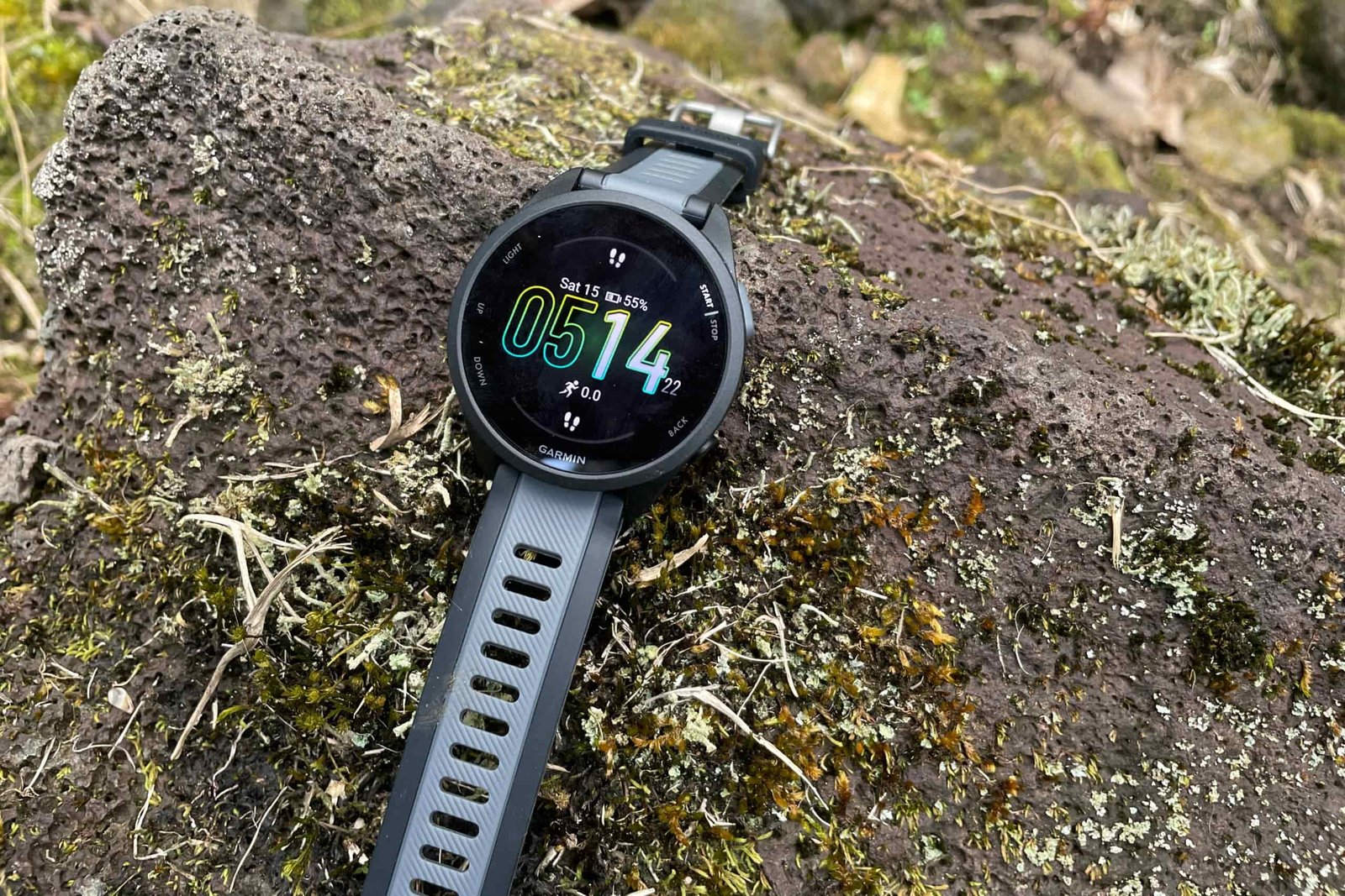 A watch rests on a moss covered rock.