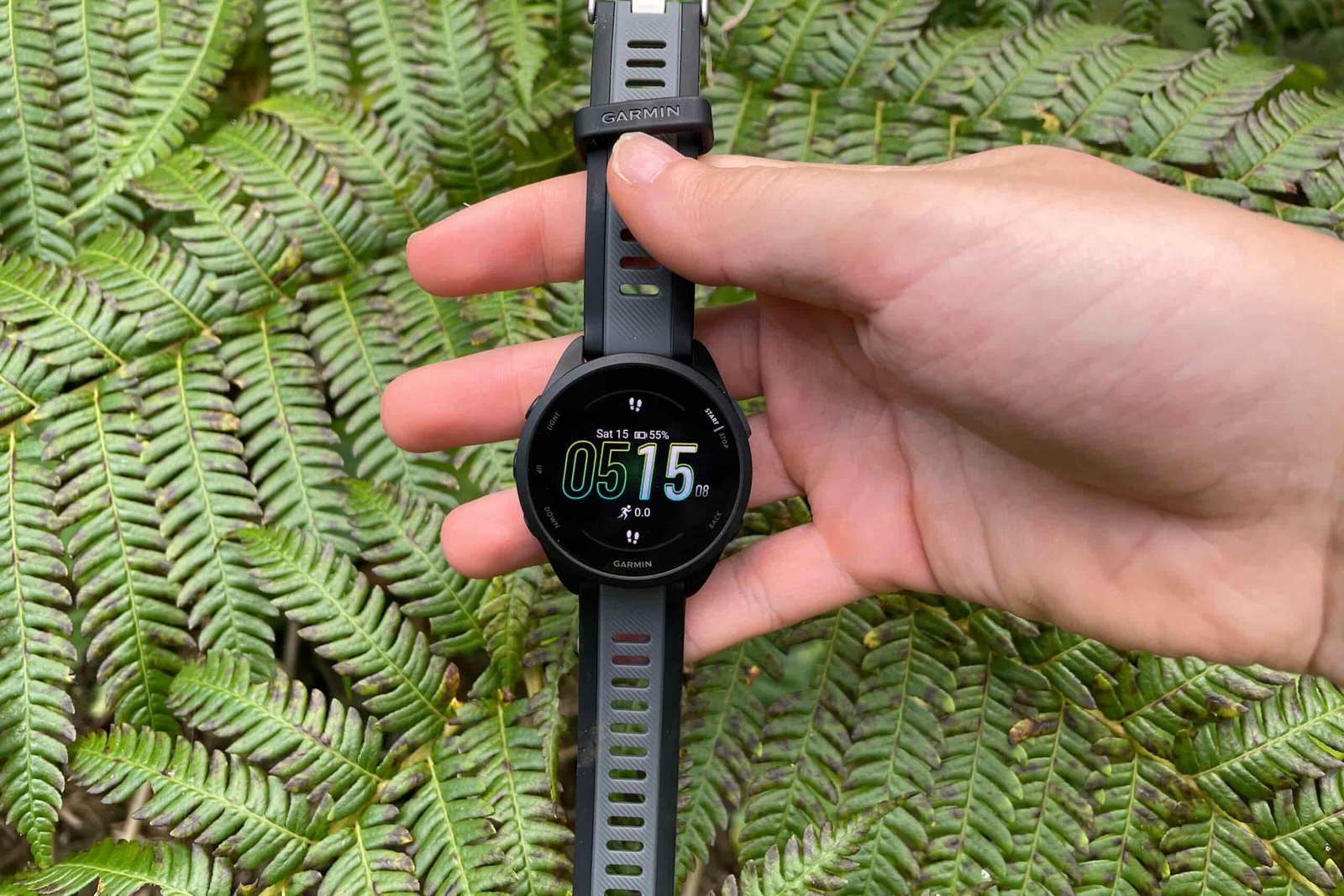 A watch face in front of a fern.