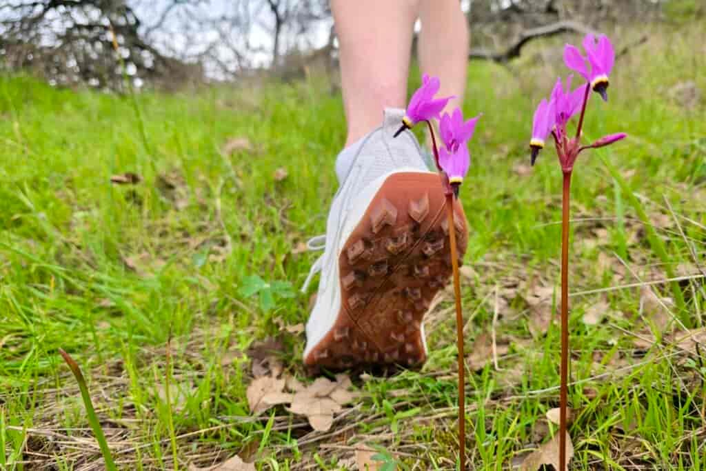 Close up showing the tread on the bottom of the Saucony shoes, next to a beautiful wildflower.