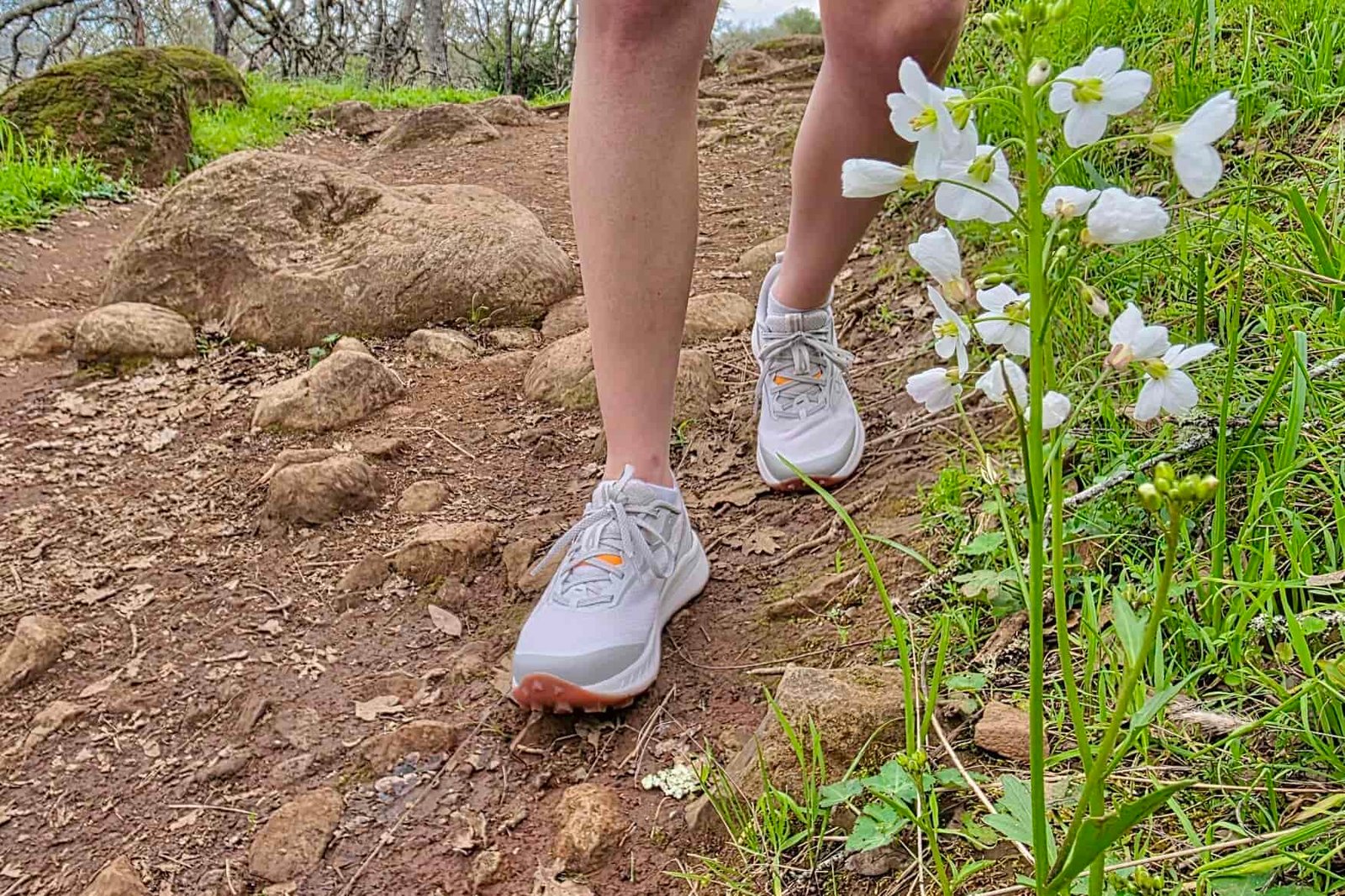 Close up on the Saucony Peregrine shoes while a hiker walks along a wildflower-lined trail.
