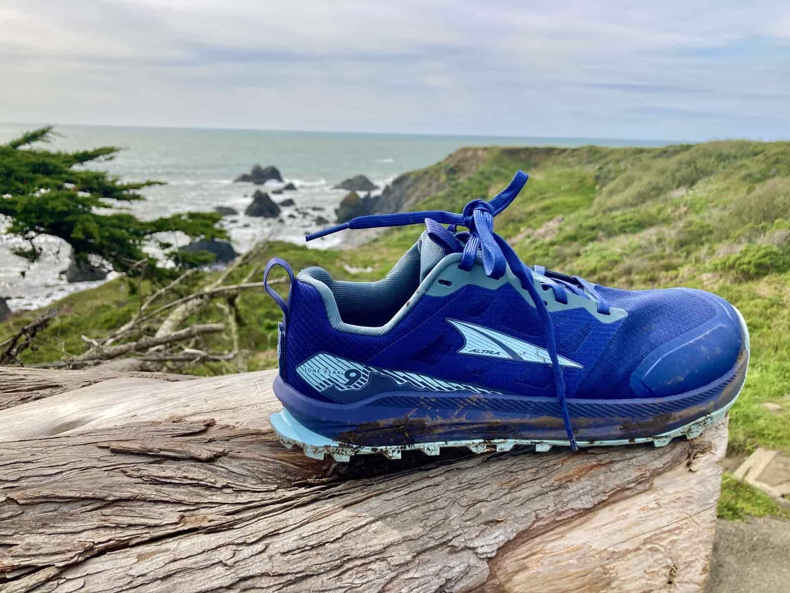 One Altra shoe sitting on a fallen log, with the view of a coastline in the background.
